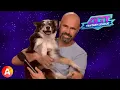 AGT Winner Adrian Stoica Hurricane Are BACK - AGT Fantasy League