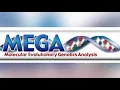 How to construct phylogenetic tree using MEGA 7
