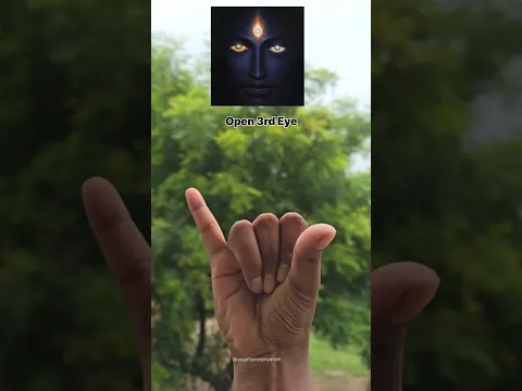 Best mudra #yogafusionpriyanshi #yt #youtybeshorts #mudra #yoga #youtubeshorts #shortvideo #yt