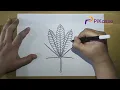How to Draw a Pot Leaf Easy step by step