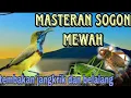 Download Lagu tembakan sogon isian belalang dan jangkrik