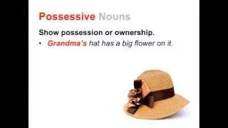 Singular Plural and Possessive Nouns Parts of Speech App