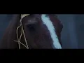 Video di DREAM  - OFFICIAL TEASER