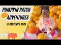 CALI MOMMY PUMPKIN PATCH ADVENTURES