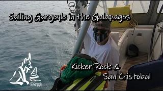Sailing Gargoyle Explores the Galapagos – Kicker Rock and San Cristobal Ep.25