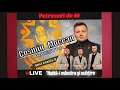 Download Lagu Cosmin Mocean ORKESTRA - ‘Nalta-i mândra și subțire ( cover ) LIVE