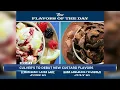 Culver s announces new summer custard flavors