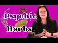 Top 10 Herbs for Psychic Power Intuition - Herbal Magic