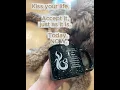 Download Lagu The Clare Reel with Jemma the Poodle #harptherapy #irishharp #poodlelove #loveyourself