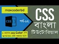CSS Tutorial For Beginners In Bangla Part 2 Three Type Of CSS Color Code