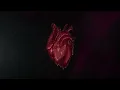 PINKNOISE - WHY ARE WE CALLING IT LOVE? (Official Visualizer)