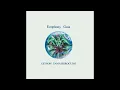 Download Lagu Geinoh Yamashirogumi - Ecophony Gaia (Full Album)