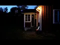 Download Lagu #1 First night alone at the farm | Moving my chickens and preparing for the pig