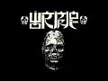 Wormrot - Born Stupid(Instrumental Cover)