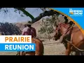 Little House On The Prairie stars reunite after 50 years Sunrise