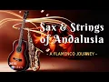 Download Lagu Deze Spaanse gitaar- en saxofoonfusie bezorgt je kippenvel