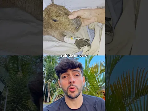 El rescate de simpática 🩸🥺