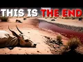 Jordan River Almost Dried Up And You Wont Believe What s Happening Now