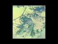 Four Tet x Caroline Polachek - Into Dust (Still Falling) x So Hot You're Hurting My Feelings Mashup