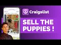 How To Sell Puppies On Craigslist