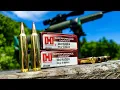 204 Ruger 100 YARD GROUPS - 32gr vs 40 gr VERY IMPRESSED