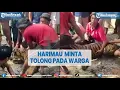 Download Lagu Harimau Sumatera Minta Tolong ke Warga, Tak Menyerang Saat Didekati @TRIBUNLAMPUNGNEWSVIDEO