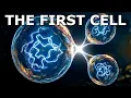 From Molecules to Life How the First Living Cell Was Born Documentary For Sleep