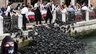This Is Why Venice Doesn’t Eat the Millions of Crabs Destroying Its Coast