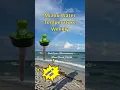 Miami Water Temperature Weekly October 14 2025