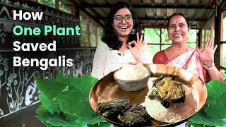 Real Story of the Plant That Saved Bengal | Lost Receipes thumbnail