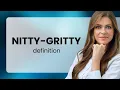 Nitty-gritty NITTY-GRITTY meaning