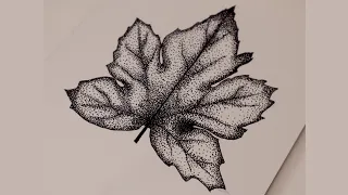 رسم ورقة شجرة بالتنقيط 