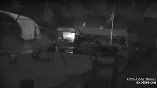 Phill cam as day ends SDP 1130pm 432020