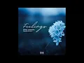 Sipho Chihawa — Feelings (Prod. Ken ZA)
