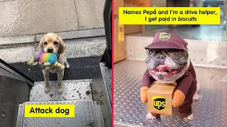UPS Drivers Capture The Most Interesting Photos On Their Routes