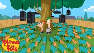 perry leaves danville phineas and ferb