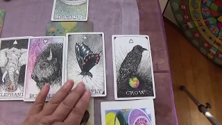 healing in union the unforgiven mother preview