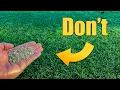 Winter Overseed Lawn