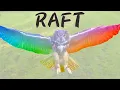 RAFT Optical Flow Estimation ONNX