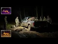 Download Lagu LAATSTE 2023 ❗Jagen op wilde zwijnen in een auto terwijl je OFFROAD gaat in dichte mist
