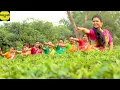 Download Lagu O Pahariya Mon I Uttarer Sanskriti Mancha