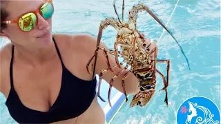 From SEA To TABLE – Living AT SEA Means LIVING OFF THE SEA | SailAway 128 | Sailing Around The World