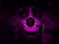 Download Lagu 🎧//MONTAGEM XONADA (Ultra Slowed)//😈🔥🎵 #bassboosted#bass #funk#music#phonk#song #aveeplayer