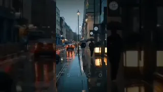 كنت ماشى زمان ف حالى بس معجبش الليالى يادنيا مالك طب ومالى شوفى بقى غيرى ترازيه وكان باين قصاد 