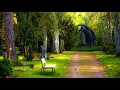 Relaxing Music Box Soundtrack: Ceasefire by Peter Broderick