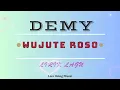 Download Lagu DEMY - WUJUTE ROSO || LIRIK LAGU