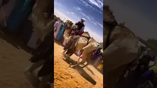 الطوارق ملوك الصحراء والجيتار Foryou Arabic عرب المغرب الجزائر باكالوريا 