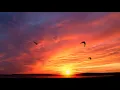 Download Lagu 4K Videos (ULTRA HD) || Red Sky || Nature || Background Videos || Non Copyrighted Videos