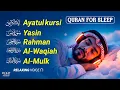 Download Lagu Relaxing Quran for Deep Sleep | Al-Fatiha,Ayatul Kursi,Surah Ar-Rahman, Al-Mulk, Yasin by Alaa Aqel