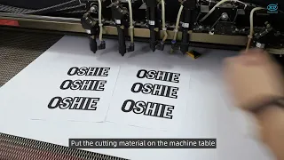 RDVisionWorks tutorial Template Match Cutting - dfm